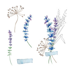 Watercolor bouquet of wildflowers, illustration for cards