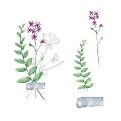 Watercolor bouquet of wildflowers, illustration for cards