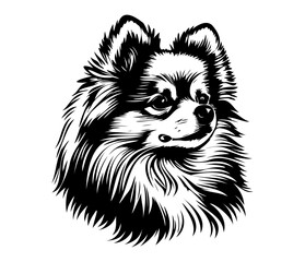 Pomeranian Face, Silhouettes Dog Face SVG, black and white Pomeranian vector