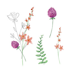 Watercolor bouquet of wildflowers, illustration for cards