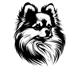 Pomeranian Face, Silhouettes Dog Face SVG, black and white Pomeranian vector