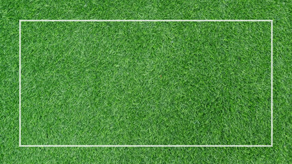 green texture space background line border, plant soccer concept 