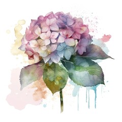 free single blue Hydrangea folwer water color, pastel ,white background, generat ai