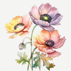 free anemones flowers water color, pastel ,white background , generat ai