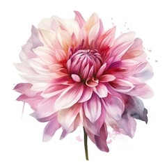 Gouache painting of a beautiful pink Dahlia, white background, bloomy, half tones, aesthetic, wallpaper , generat ai