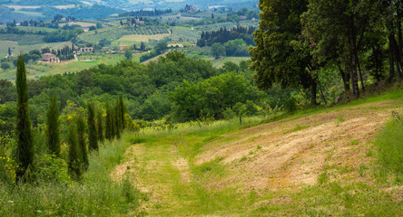 Fototapeta na wymiar Tuscany landscape in spring season along the Via Francigena route from Gambassi Terme to San Gimignano, Tuscany region, Italy, Europe