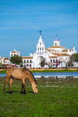 The church of El Rocio, Spain and the view of the lake with the horse on a foreground.
