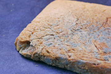 bread with mildew. Spoiled products