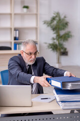 Fototapeta premium Old male employee and too much work at workplace