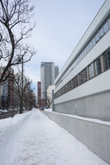 Obraz premium 冬の道