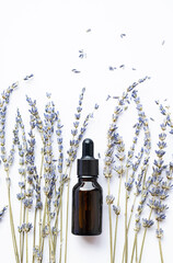 Essential lavender oil drop bottle and dried lavender flowers. Skin care organic product.