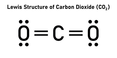 Lewis structure of carbon dioxide (CO2). Vector illustration isolated on white background.