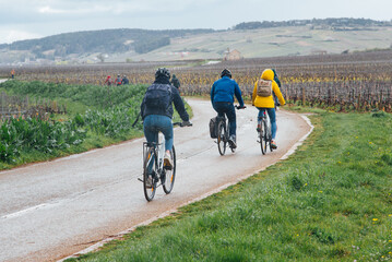 Un groupe de touristes en vélo dans le vignoble en France. Visite de cyclistes étrangers des vignes en Bourgogne. Balade en bicyclette sous la pluie. Tourisme des vignes. Vélo route en Côte-d'Or. Rain - obrazy, fototapety, plakaty
