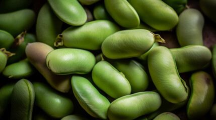 food background from a texture of broad bean - obrazy, fototapety, plakaty