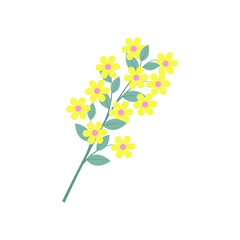 Twig with yellow flowers and green leaves, close-up, isolated, on a transparent and white background. Element for design decoration. Vector image, illustration, graphic design.