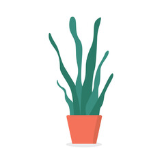 Potted Plant