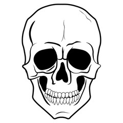 White teeth skeleton or Jolly Roger Skull symbol on white transparent png background, Vector illustration 