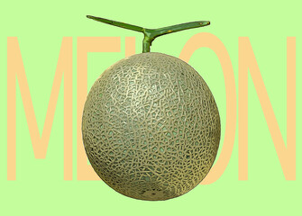 新鮮なメロンのイラスト