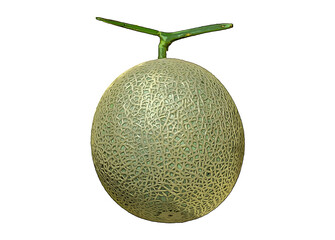 新鮮なメロンのイラスト
