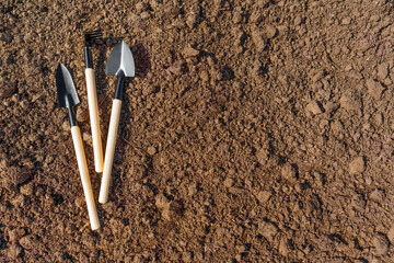 Miniature Garden Tools on Freshly Tilled Soil