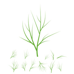 Decorate the dish with dill sprigs. A set of vector icons. Dill is a healthy organic food.