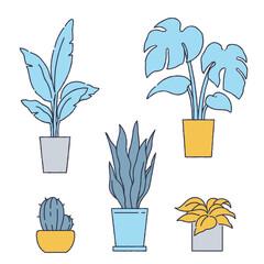 シンプルな観葉植物のイラスト