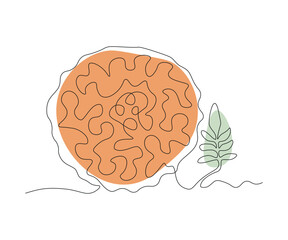 abstract Flowers Marigolds Continuous One Line Drawing