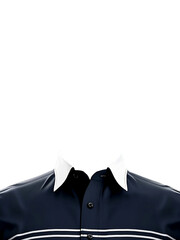 ID picture, identification picture Passport photo  mockup Generative AI