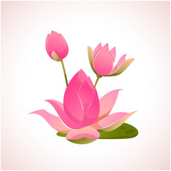 Original name(s): Lotus Flowers 4