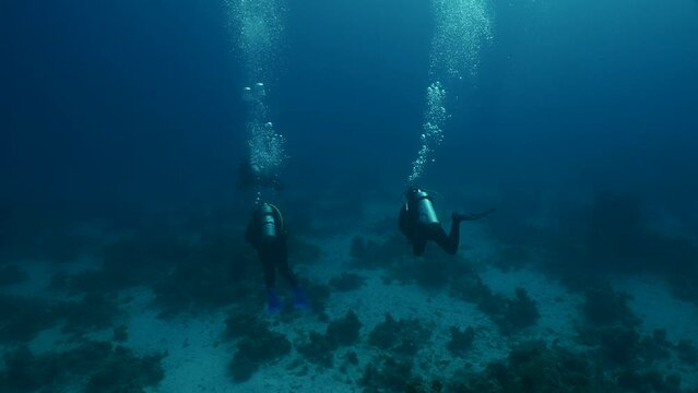 Group of scuba divers swims in depths of the sea, slow motion, back view