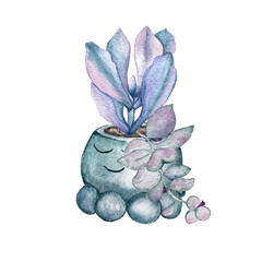 Stylized drawing of a houseplant of the succulent genus in a flower pot. Watercolor illustration