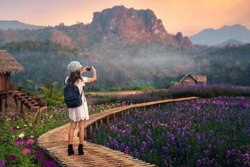 Flower in garden at Phu pha muak with asian woman traveller