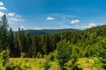 Summer Moravskoslezske Beskydy mountains above Moravka village