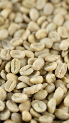 Raw coffee beans close up. Green unroasted coffee beans