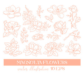 Vector graphic linear illustration of a sprig of magnolia flowers and roses