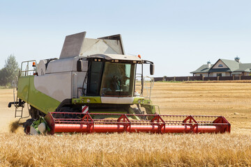 Fototapeta premium Harvesting with combines