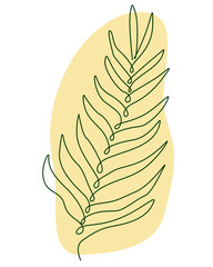 Abstract hand drawn doodle sketch of palm leaf. Vector illustration