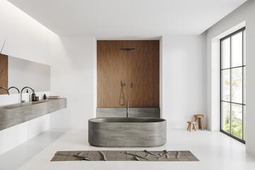 White bathroom interior with double sink, douche and tub near panoramic window