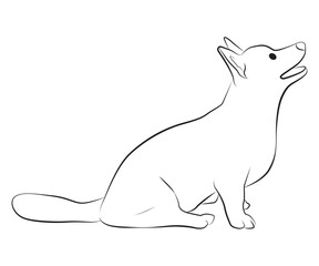 corgi dog sitting pose line cartoon illustration