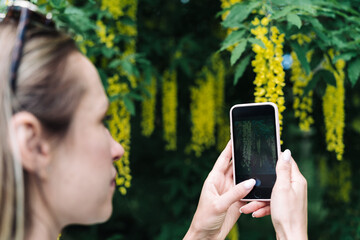 A woman photographs on her smartphone the yellow flowers of blooming Laburnum anagyroides or golden rain - Powered by Adobe