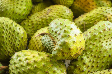 Fototapeta premium Guanabana in the Asian market. Healthy eating, raw food, vegetarianism. Sri Lanka.