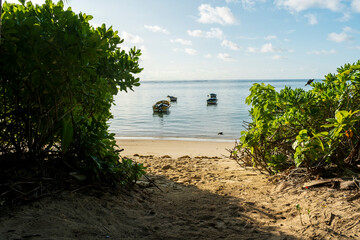 Seychelles Mahe beaches offer a range of benefits and attractions that make them a desirable destination for many travelers. beautiful palm trees, beach and sea