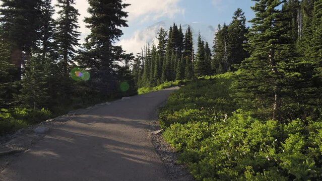 Exploring the Majestic Hiking Trails of Mount Rainier