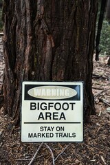 Vertical shot of a warning sing in the forest: bigfoot area, stay on marked trails