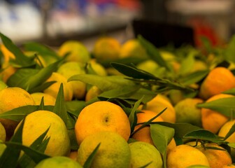 Closeup shot of a numerous different citrus fruits in the supermarket