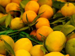 Closeup shot of a numerous different citrus fruits in the supermarket