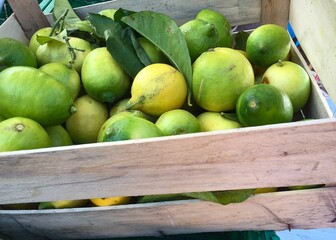 Wooden box from the market filled with green and yellow lemons