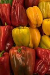 Vertical shot of big peppers in red and yellow colors