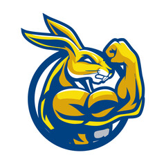 Cute rabbit wearing headphones and listening to music