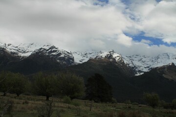 Obraz premium Queenstown forest view while horseback riding
